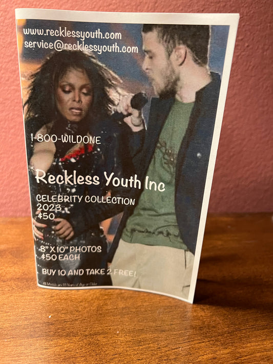 Reckless Youth Art Gallery Portfolio